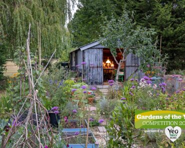 Gardens of the Year Competition 2023 terms and conditions