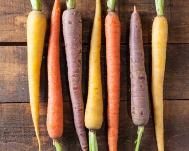 Do Multi-Colored Carrots Taste Different Than Orange Carrots?