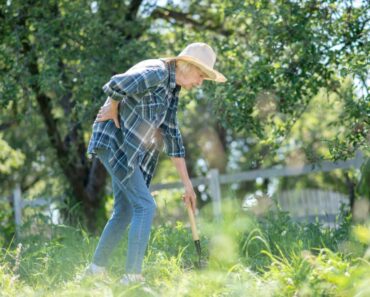 Prevent Back Pain From Gardening With These Tips And Tricks