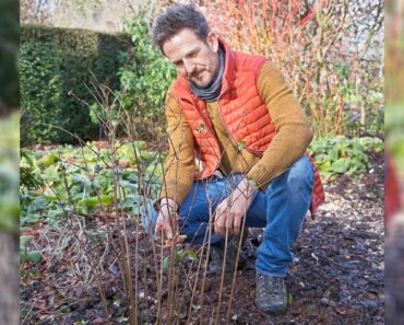 Pruning in April with Nick Bailey