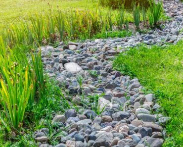 How To Create A Sustainable Permaculture Swale In Your Yard