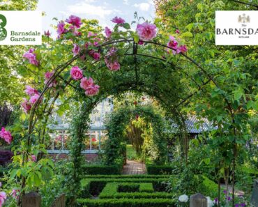 Win tea for two at Barnsdale Gardens and a night at The Barnsdale Rutland hotel