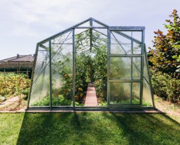 Geothermal Greenhouse – A Sustainable Way To Grow Year Round