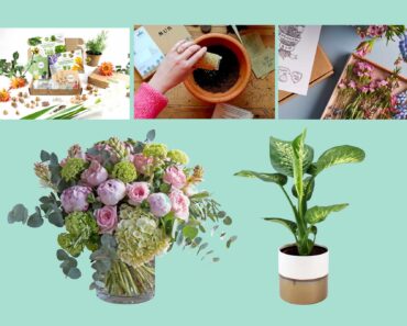 The best gardening subscription boxes and kits in 2023