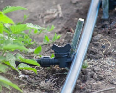DIY Drip Irrigation System You Can Make At Home