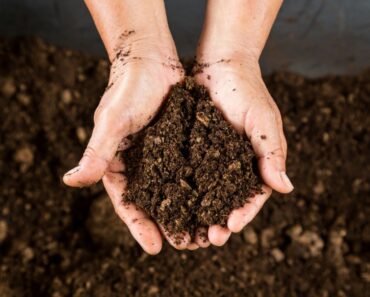 How To Determine Soil Texture By Feel