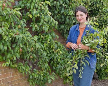 Pruning in July with Frances Tophill