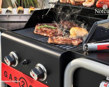 Win a Char-Broil Gas2Coal 2 Burner BBQ from Notcutts