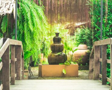 Feng Shui Garden Ideas For A Serene Outdoor Space
