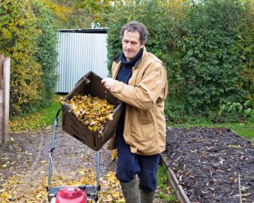 Monty’s gardening jobs for October