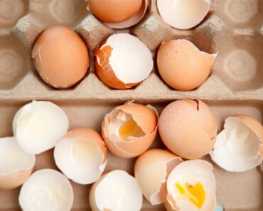 What To Do With Eggshells Before Composting Them