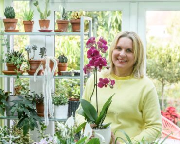 Five expert tips for orchids that last for longer