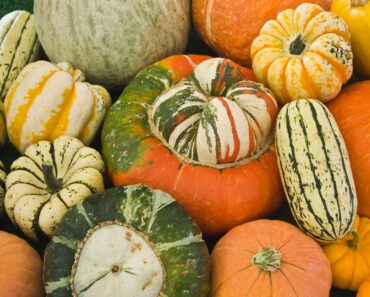 Sweetest Squash To Grow: 6 Best-Tasting Squash Varieties For Your Kitchen Garden