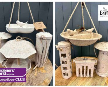 Win a set of recycled bird feeders from Earthy Sustainable