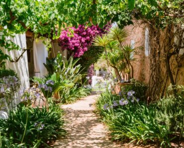 Gardens to visit in Ibiza