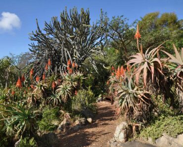 Gardens to visit in South Africa