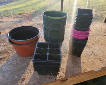 Quick Tip: Save Nursery Containers for Seed Starting Instead of Buying New