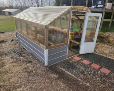 Lots of Ways to Use a Greenhouse! Try These 5