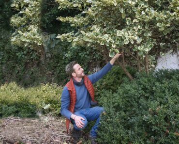 Nick Bailey’s guide to March pruning