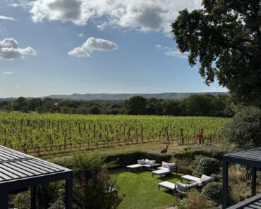 Photos and feedback – Ridgeview Wine Estate, August 2025