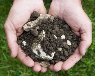 Find out your soil type