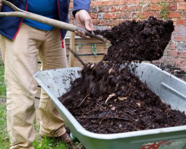 Five reasons to feed your soil