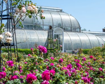 Blossoms, palaces and palm houses: 10 unmissable gardens around the world