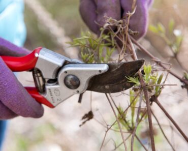 10 small jobs to do right now – even if they’re a bit late