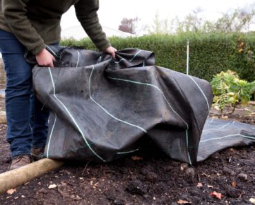 Do these 5 weird weeding hacks really work?