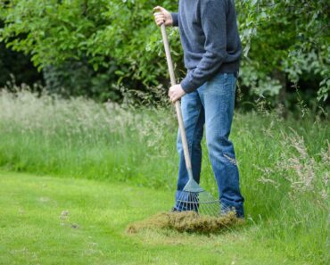 It’s time to get your lawn shipshape for summer