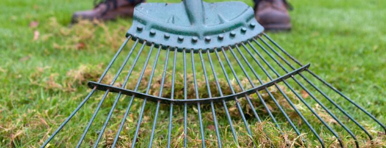 Top spring lawn care tips: five easy ways to achieve a lovely summer lawn