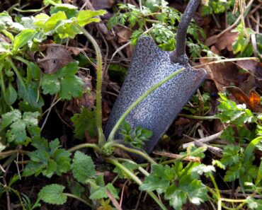15 of the most common, hard-to-shift weeds in UK gardens (…and 8 and 9 are the absolute WORST) 15 of the most common, hard-to-shift weeds in UK gardens (…and 8 and 9 are the absolute WORST)