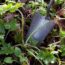 15 of the most common, hard-to-shift weeds in UK gardens (…and 8 and 9 are the absolute WORST)
