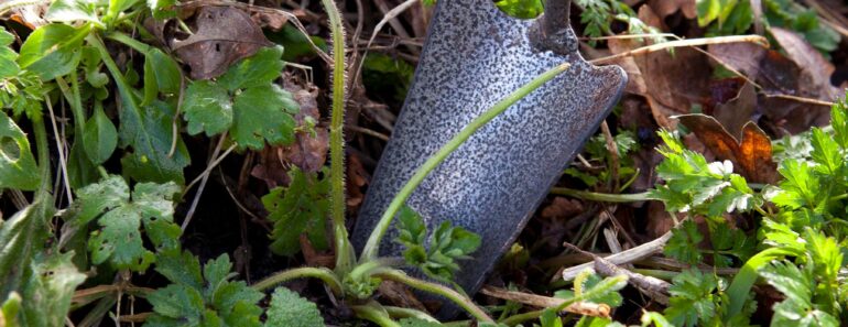 15 of the most common, hard-to-shift weeds in UK gardens (…and 8 and 9 are the absolute WORST) 15 of the most common, hard-to-shift weeds in UK gardens (…and 8 and 9 are the absolute WORST)