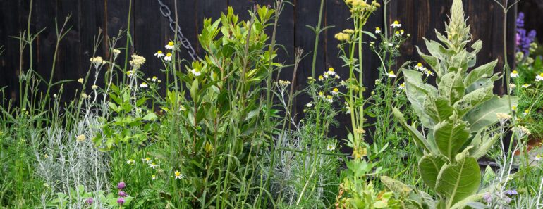 9 easy tricks Chelsea Designers swear by – they make your garden feel HUGE 9 easy tricks Chelsea Designers swear by – they make your garden feel HUGE