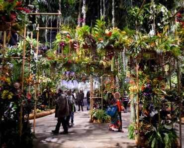 Beyond Chelsea: the international flower shows everyone must see Beyond Chelsea: the international flower shows everyone must see