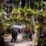Beyond Chelsea: the international flower shows everyone must see