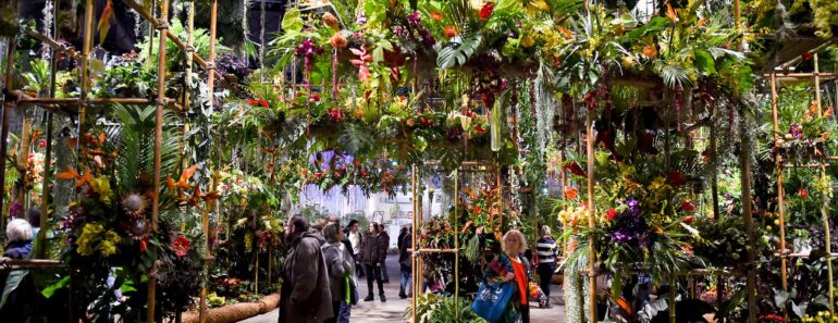 Beyond Chelsea: the international flower shows everyone must see