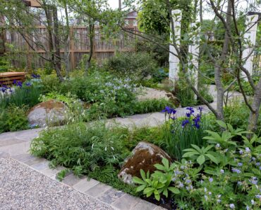 Chelsea Flower Show 2026: get the full rundown so you’re in the know