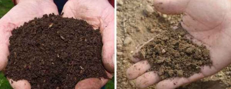 Compost vs. Soil: What’s the Difference — and When Should You Use Each? Compost vs. Soil: What’s the Difference — and When Should You Use Each?