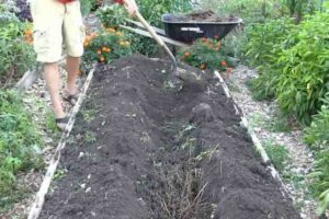 Core Gardening Method: Grow More with Less Work and Water