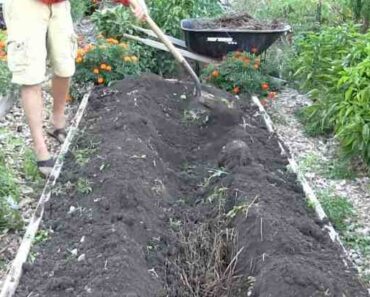 Core Gardening Method: Grow More with Less Work and Water