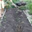 Core Gardening Method: Grow More with Less Work and Water
