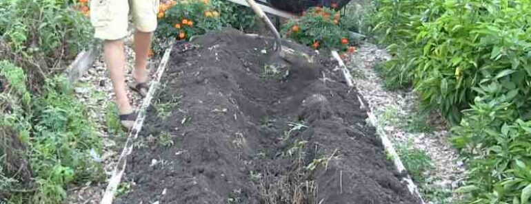 Core Gardening Method: Grow More with Less Work and Water Core Gardening Method: Grow More with Less Work and Water
