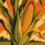 Corn vs. Maize: What’s the Difference? (It Depends on Where You Live)