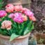Do all your potted plants DIE? Try these 15 expert-picked varieties that thrive