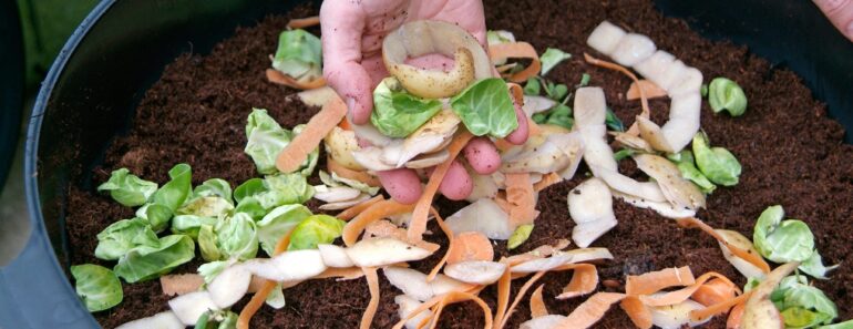 Five budget-friendly hacks to keep rats out of your garden Five budget-friendly hacks to keep rats out of your garden