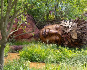 RHS Chelsea Flower Show 2026: Best in Show and medal winners announced RHS Chelsea Flower Show 2026: Best in Show and medal winners announced