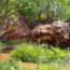 RHS Chelsea Flower Show 2026: Best in Show and medal winners announced
