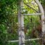 18 ridiculously effective ways to make a small garden feel MASSIVE